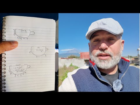 Видео: Секрет мгновенного общения на любом языке