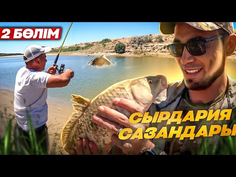 Видео: СЫРДАРИЯ САЗАНДАРЫ. ( 2-ШІ БӨЛІМ ) МАРАТ АҒАМЫЗДЫҢ ТУЫЛҒАН КҮНІ. БАЯНМЕН ӘН АЙТУ. Carp fishing