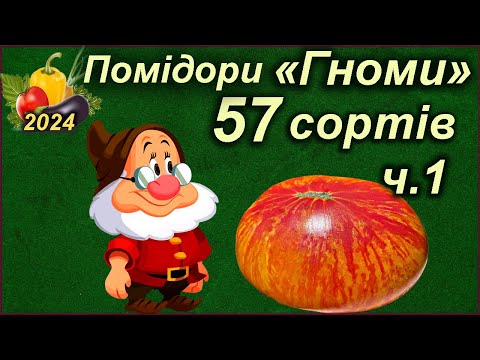 Видео: Томати "Гноми". ОБЗОР 57 сортів. ч.1