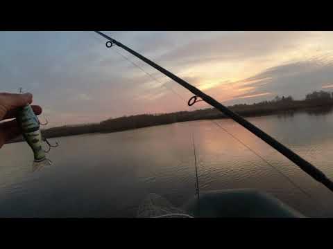 Видео: Рыбалка на свимбейты.