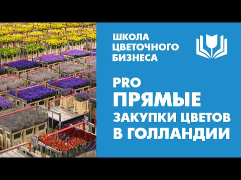 Видео: Webshop. Прямые закупки цветов в Голландии