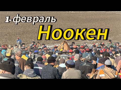 Видео: 1 февраля 2025 г.Ноокендеги улак