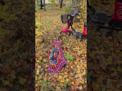 Видео: Дома и дворики  района Sarkandaugava в Риге