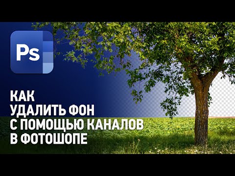 Видео: Как удалить фон помощью каналов в Фотошопе? (Как вырезать сложный объект?) Уроки Фотошопа с нуля.
