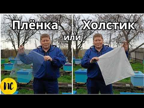 Видео: Холстик для ульев или пленка для ульев? Немного о холодной зимовке пчелосемей.