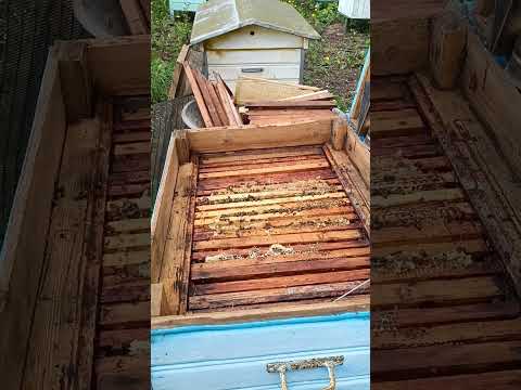 Видео: Ставим первые магазинные рамки!!!