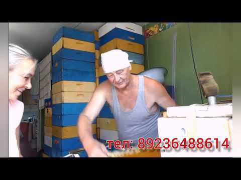 Видео: Стационарный паровой нож. Станок для распечатки забруса. 