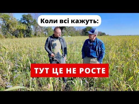Видео: Покривні культури на Харківщині: можливо чи ні? Практика Віктора Філатова