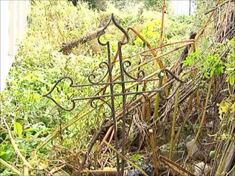 Видео: Карта города  Кладбища Уссурийска