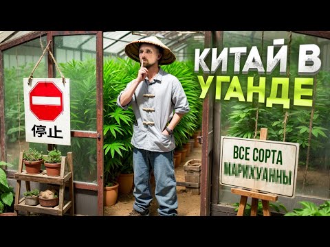 Видео: УГАНДА. Дымит вся округа. Китайская экспансия. ДЖИНДЖА. НИЛ. Как я неделю прожил в  деревне.