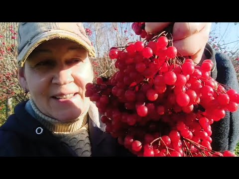 Видео: Экскурсия по дому, завидую соседям 😁