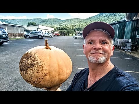 Видео: Сад Карвера выглядит великолепно осенью 🍁