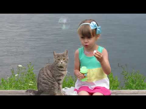 Видео: "ВОТ И ВСЁ  МНЕ ПОРА " ВИКТОР  ДАВИДЗОН