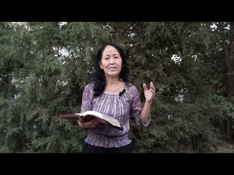 Видео: Кудай сыздерды жарылкасын🙏