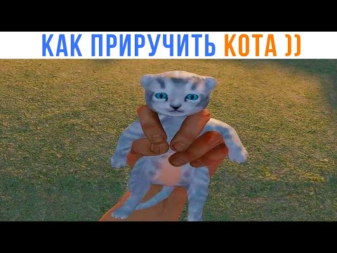 Видео: НАЖМИТЕ "Е", ЧТОБЫ ПРИРУЧИТЬ КОТА ))) Приколы с котами | Мемозг 1675