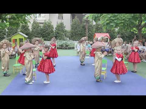 Видео: танок з грибочками