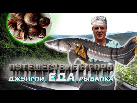 Видео: Приключения на природе! Рыбалка на горном озере и питомник улиток.