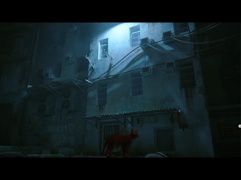 Видео: Stray Прохождение#1