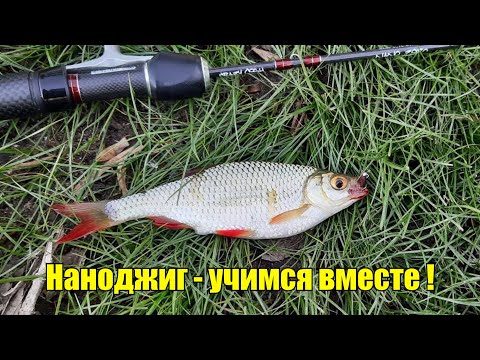 Видео: Наноджиг - учимся вместе! Рыбалка в Калининграде.