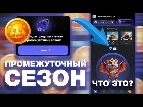 Видео: ПРОМЕЖУТОЧНЫЙ СЕЗОН в HAMSTER KOMBAT! ЧТО ДЕЛАТЬ И ЗАЧЕМ КРИСТАЛЛЫ В ХОМЯКЕ? КОГДА АИРДРОП HAMSTER?