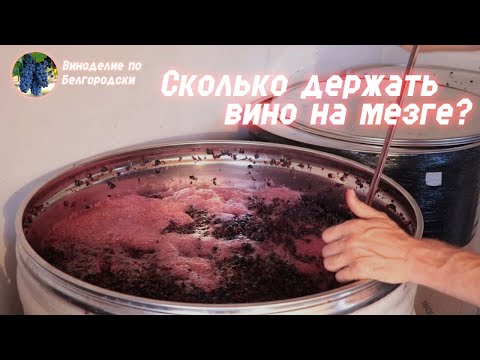 Видео: Сколько держать вино на мезге? Какое получится вино в зависимости от сроков мацерации?