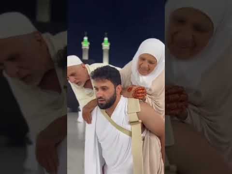 Видео: 6 ноября 2025 г.