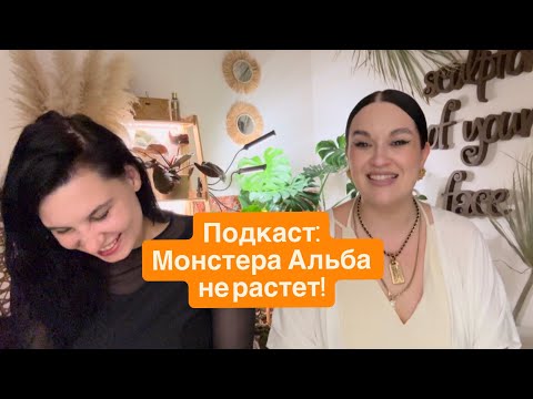 Видео: Почему не растет Монстера Альба