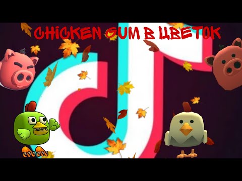 Видео: chicken gun в Tik Tok