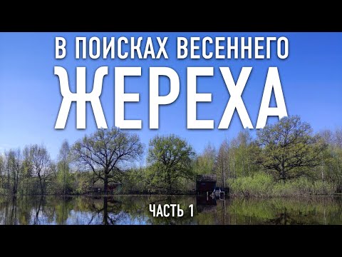 Видео: В поисках весеннего ЖЕРЕХА || ЧАСТЬ 1