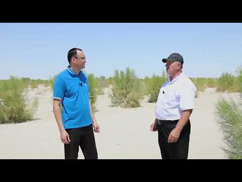 Видео: Документальный фильм "Муйнак. Зелёное море".  Автор - мой ученик Мурат Садыков. 2022 год