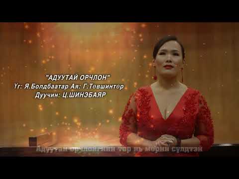 Видео: Адуутай орчлон Дуучин Ц.Шинэбаяр Aduutai orchlon duuchin Ts.Shinebayar