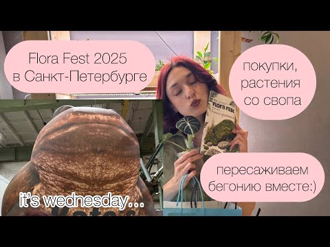 Видео: Flora Fest в Санкт-Петербурге: влог и мои покупки, болтаем и пересаживаем бегонию вместе!