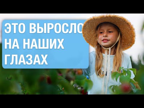 Видео: Что выросло на ферме? Экскурсия от агронома | Гастродача Вселуг