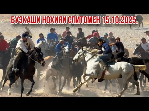 Видео: Бузкаши гаштак нохияи Спитомен хамаи човандозо хамича 😳 15 октября 2025 г.