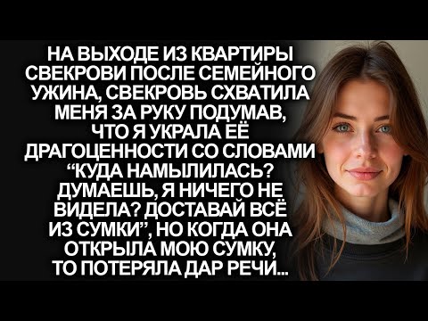 Видео: Свекровь остановила меня на выходе, подозревая в краже её драгоценностей, но когда она открыла сумку