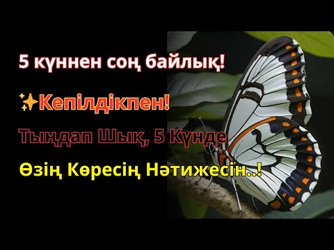 Видео: СИЛЬНЕЙШЕЕ ДУА УТРОМ ОТ ВСЕХ БЕД 🌹