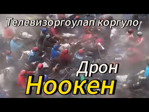 Видео: Ноокен Аламан Улак Аттар жыгылды жыйын Чоон болду