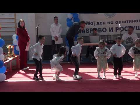 Видео: 4 ти Мај ден на Општина МАВРОВО И РОСТУШЕ 2025 година