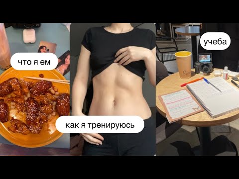 Видео: im not that girl vlog || что я ем, тренировки, учеба