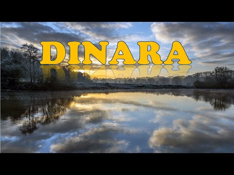 Видео: DINARA - Мечта моя ДИНАРА (AHISKA MÜZIK)(Ахыска)