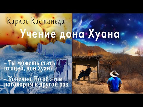 Видео: Учение дона Хуана. Путь знания индейцев яки. Карлос Кастанеда.
