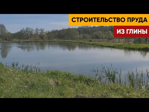 Видео: Пруд из глины. Этапы строительства. Расскажу технологию строительства пруда.