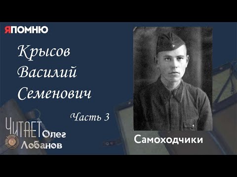 Видео: Крысов Василий Семенович Часть 3.  Проект "Я помню" Артема Драбкина. Самоходчики.
