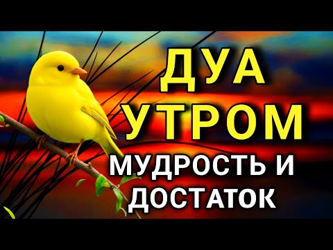 Видео: ДОБРОЕ УТРО С БЛАГОСЛОВЕНИЕМ! 💖🤲💯