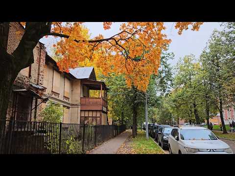 Видео: Осень в Москве: прогулка по территории РГАУ-МСХА им. К.А. Тимирязева