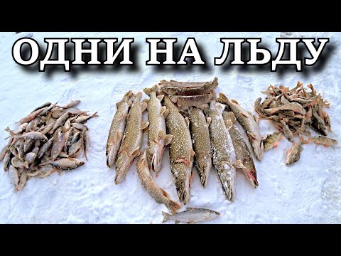 Видео: ШОКИРУЮЩАЯ РЫБАЛКА С НОЧЁВКОЙ  УСТАЛИ БЕГАТЬ ПО ЖЕРЛИЦАМ!