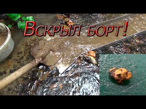 Видео: Вскрыл борт возле ямы с самородками!!! Там оно ЗОЛОТО!