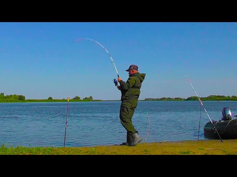 Видео: ВСЕ-ТАКИ НАШЕЛ И ПОЙМАЛ!!! РЫБАЛКА В ЗМЕИНОМ ЛОГОВЕ.