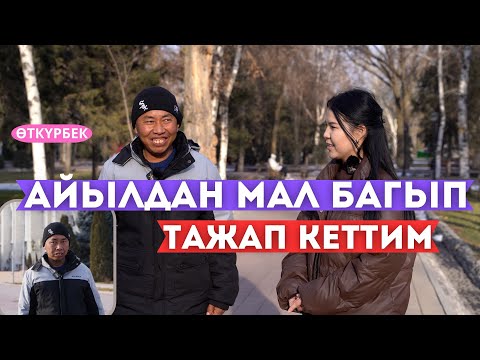 Видео: 230сом алып мал баккан Өткүрбек