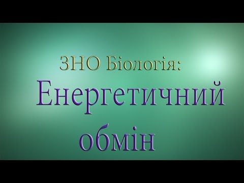 Видео: ЗНО Біологія  Енергетичний обмін